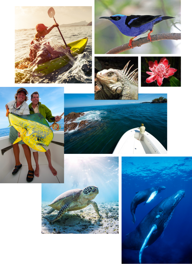 Islas Galápagos