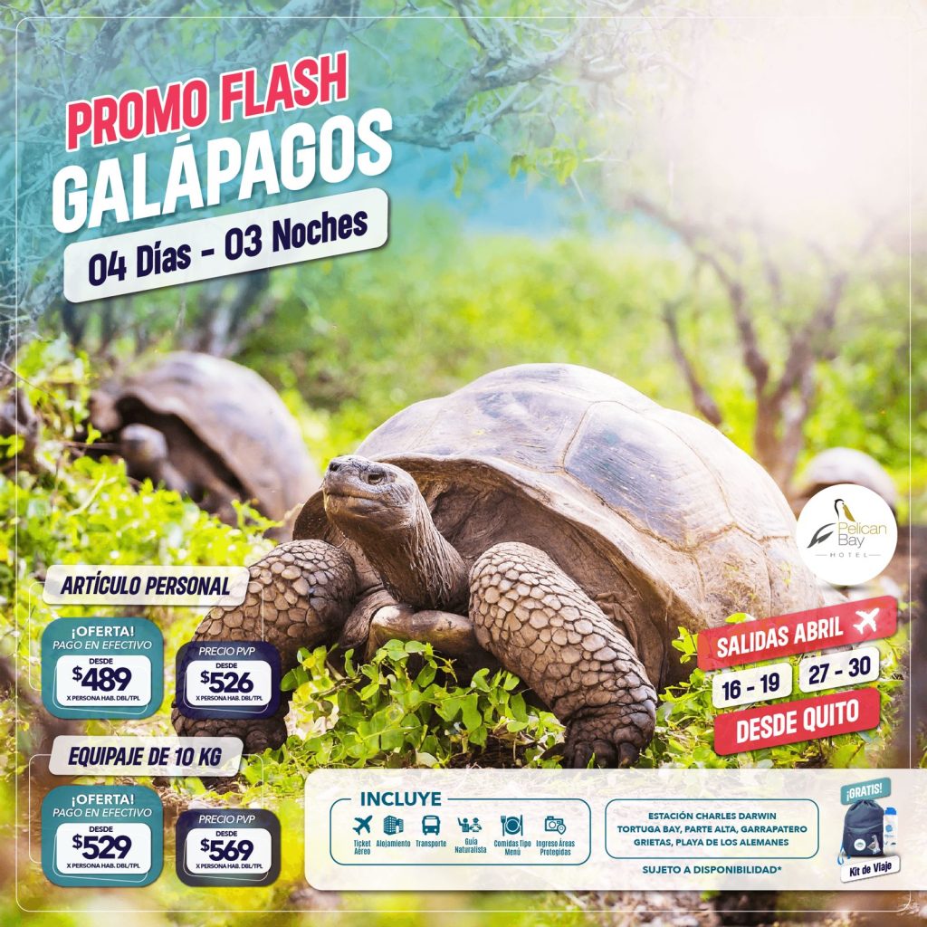PROMO FLASH GALÁPAGOS